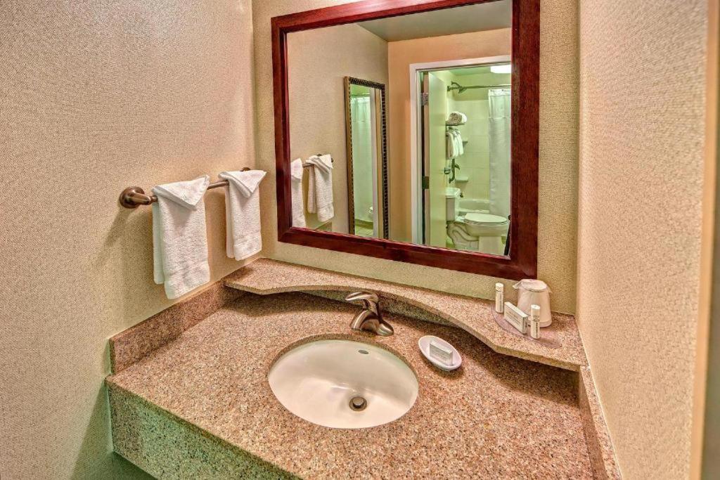 Springhill Suites Norfolk Old Dominion University Dış mekan fotoğraf